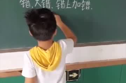 错上加错打一字,“错上加错解析与启示
