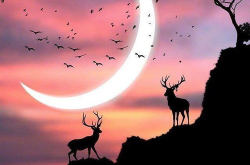 三八节精辟句子,女性力量与智慧的精辟诠释”