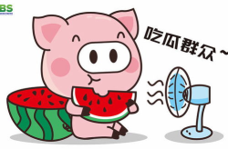 2022年娱乐吃瓜素材,八卦盛宴，明星人设崩塌与情感纠葛